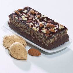Bariatrix - Chocolate Decadent Bar